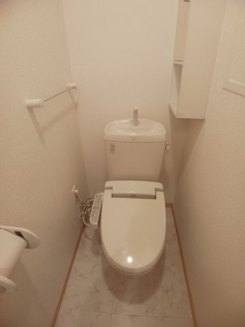  ラフレシールＣ