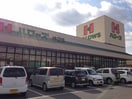 ハローズ神辺店まで1000m ラ　グリシーヌＢ