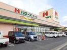 ハローズ戸手店まで1100m ソレイユ　Ａ