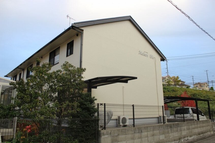  メゾンアイビス