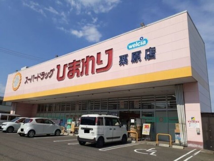 スーパードラッグひまわり 栗原店(ドラッグストア)まで2178m メゾンアイビス