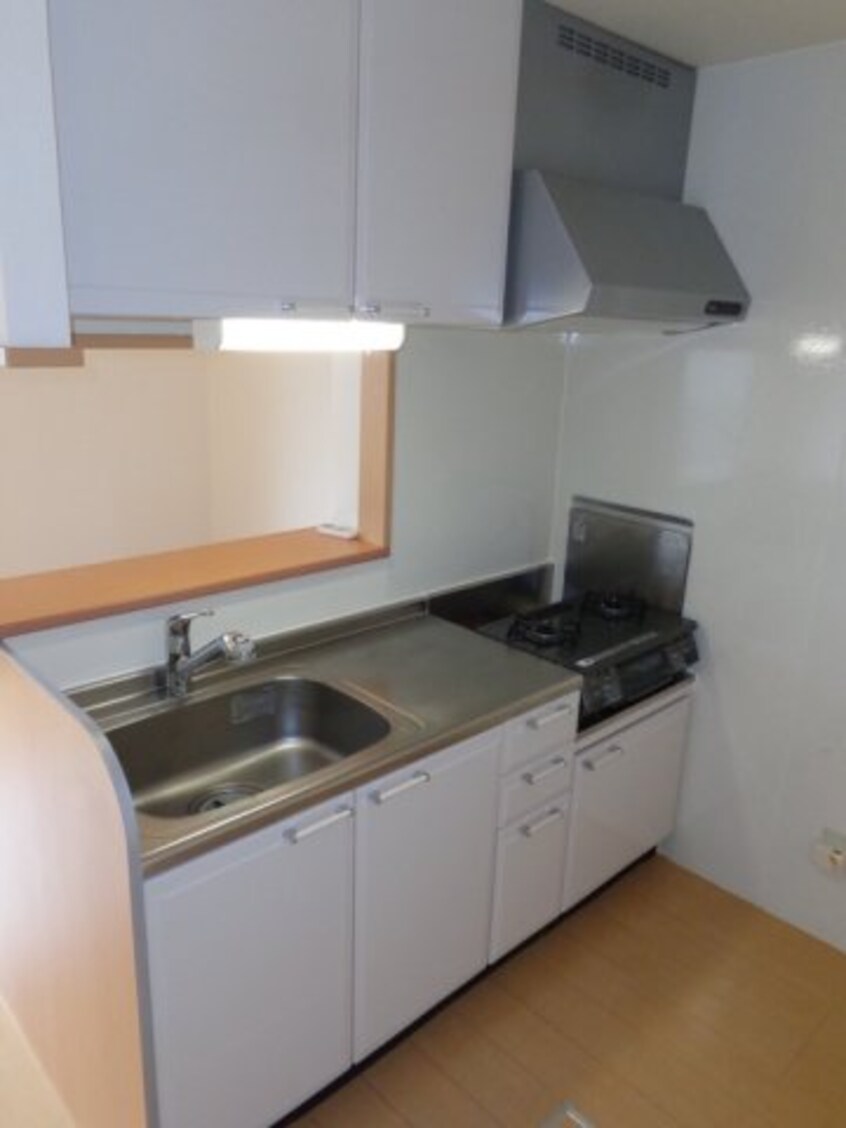  シティーハウス南手城2