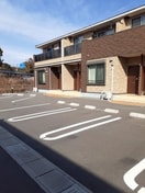  プラシード　Ⅱ