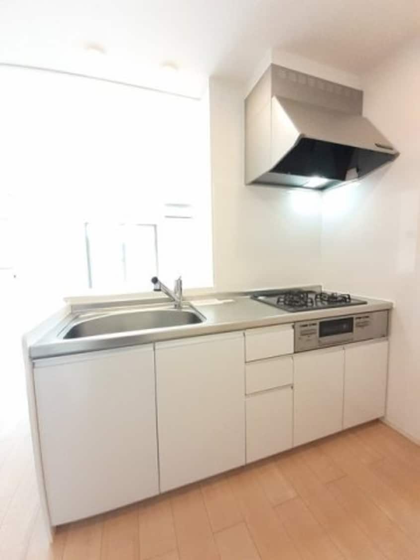  プラシード　Ⅱ