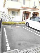  エヴァーグリーンＡ