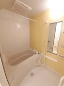  エヴァーグリーンＡ