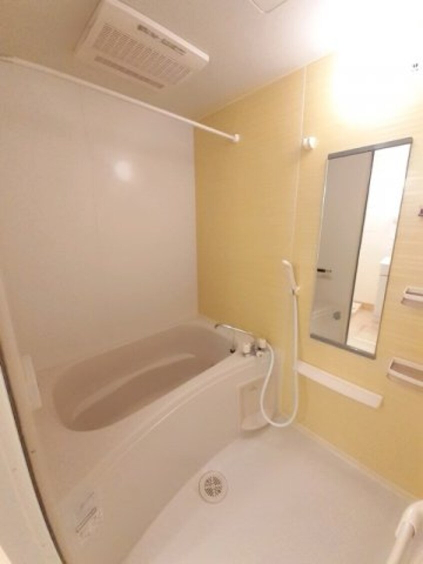  エヴァーグリーンＡ