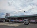 コメリハード&グリーン瀬戸田店(電気量販店/ホームセンター)まで2247m アグリウムⅡ