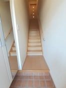  プリムローズＨＢ