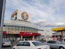 ユーホー駅家店（ホームセンター）まで700ｍ メゾン・グロワール