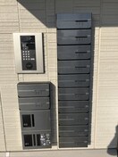  D-room椿