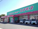 コスモス尾道東店まで800m エヴァＦ