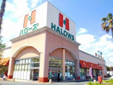 ハローズ 水呑店(スーパー)まで1333m アルバ北棟