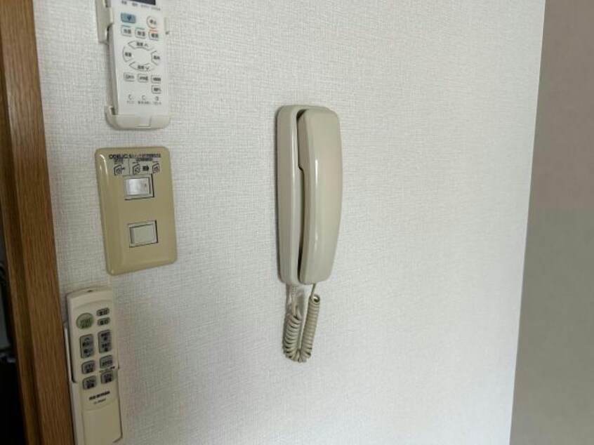  エムズシャルマン