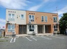 グローリーアカヒラの外観