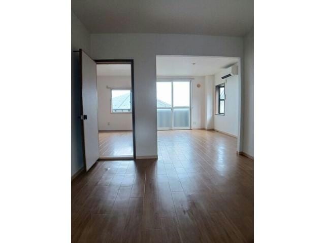  サンシャイン・ドミール