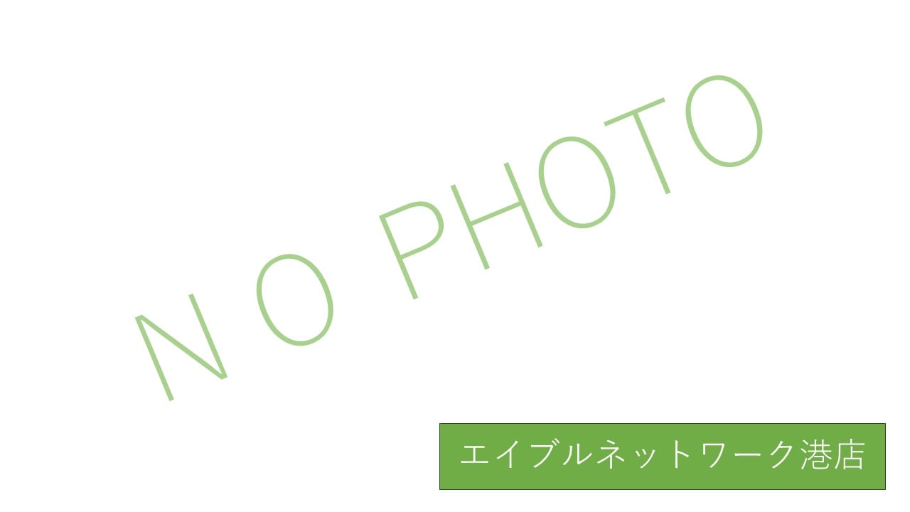  レンガースII