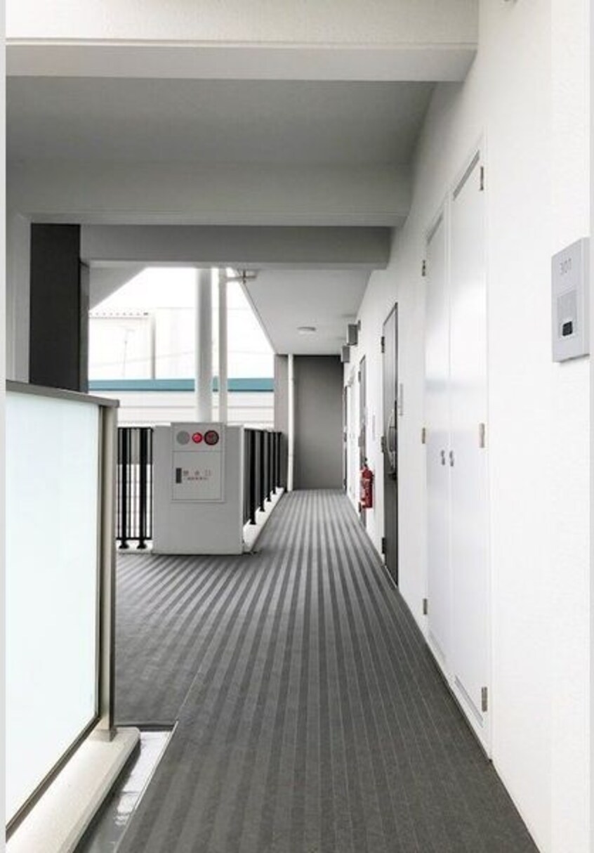  メイボートレス