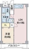 アメニティー大善 1LDKの間取り