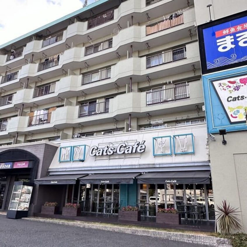 きれいな外観です ヨイマンション