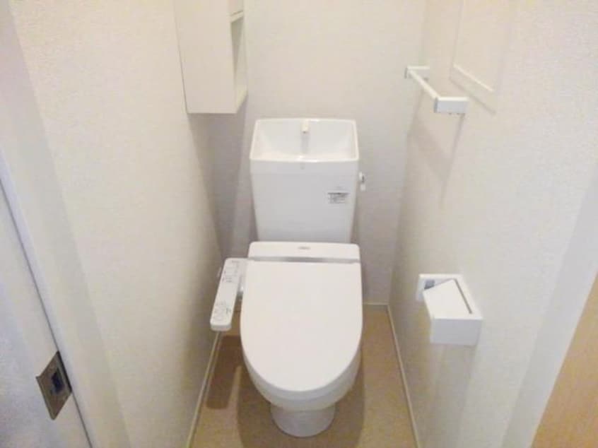  ネオコティ　大宝