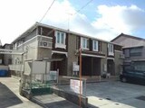 ネオコティ　大宝