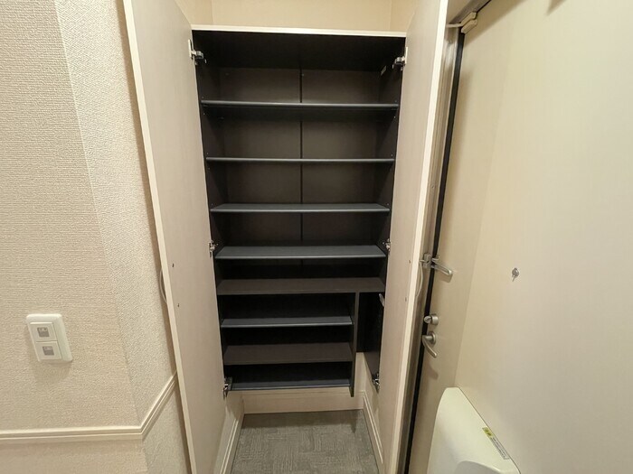 大きなものも収納できそうです Ｅｌｖｉｔａ