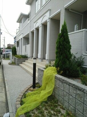  ＰＥＡＲＬ（パール）