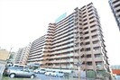 スペリアシティ名南アネックスVの外観