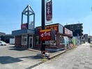 すき家中川十番町店(ファストフード)まで582m mia　casa十一番町