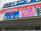ホームセンターコーナン南十番町店(電気量販店/ホームセンター)まで644m mia　casa十一番町