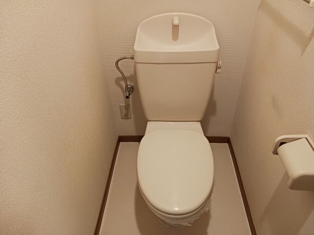 落ち着いた色調のトイレです ラ・ビアージュ