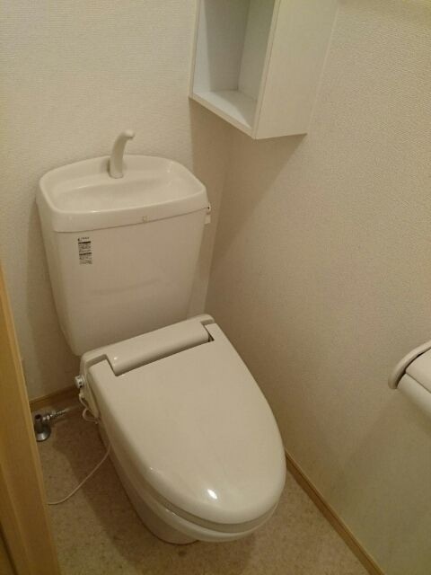 ゆったりとした空間のトイレです こころ