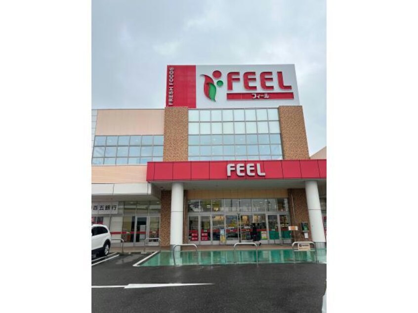 フィール富田店(スーパー)まで1042m アウスレーゼ