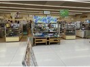 セリア フィールスマイルプラザ店 2132m ルピナス