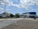 名古屋港水族館 529m サニープレイス名古屋港