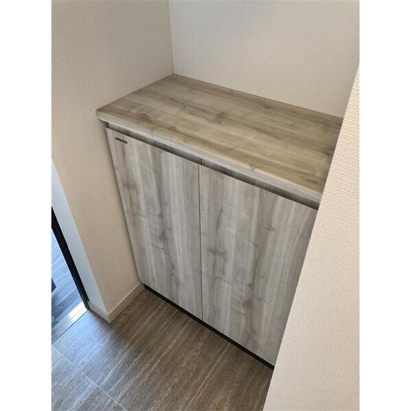 こまごまとしたものを収納できそうですね S-RESIDENCE金山altano(アルターノ)