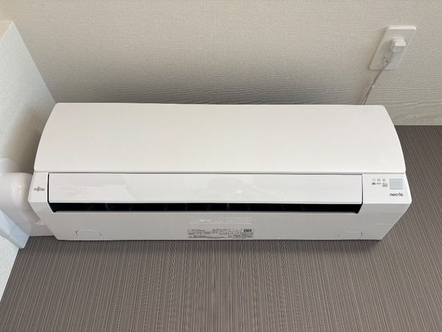  ダイアンサスⅢ