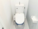 落ち着いたトイレです HS津金