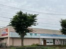 ナフコ不二屋当知店(スーパー)まで728m ヴィオレッタ