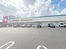 スギドラッグ大府中央店(ドラッグストア)まで1429m RadIAnce大府