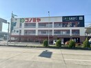 コノミヤ 笠寺店 1013m クレア笠寺