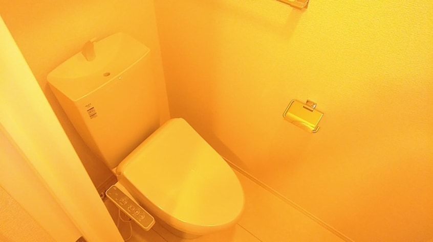 シンプルで使いやすいトイレです ブルースカイＴ