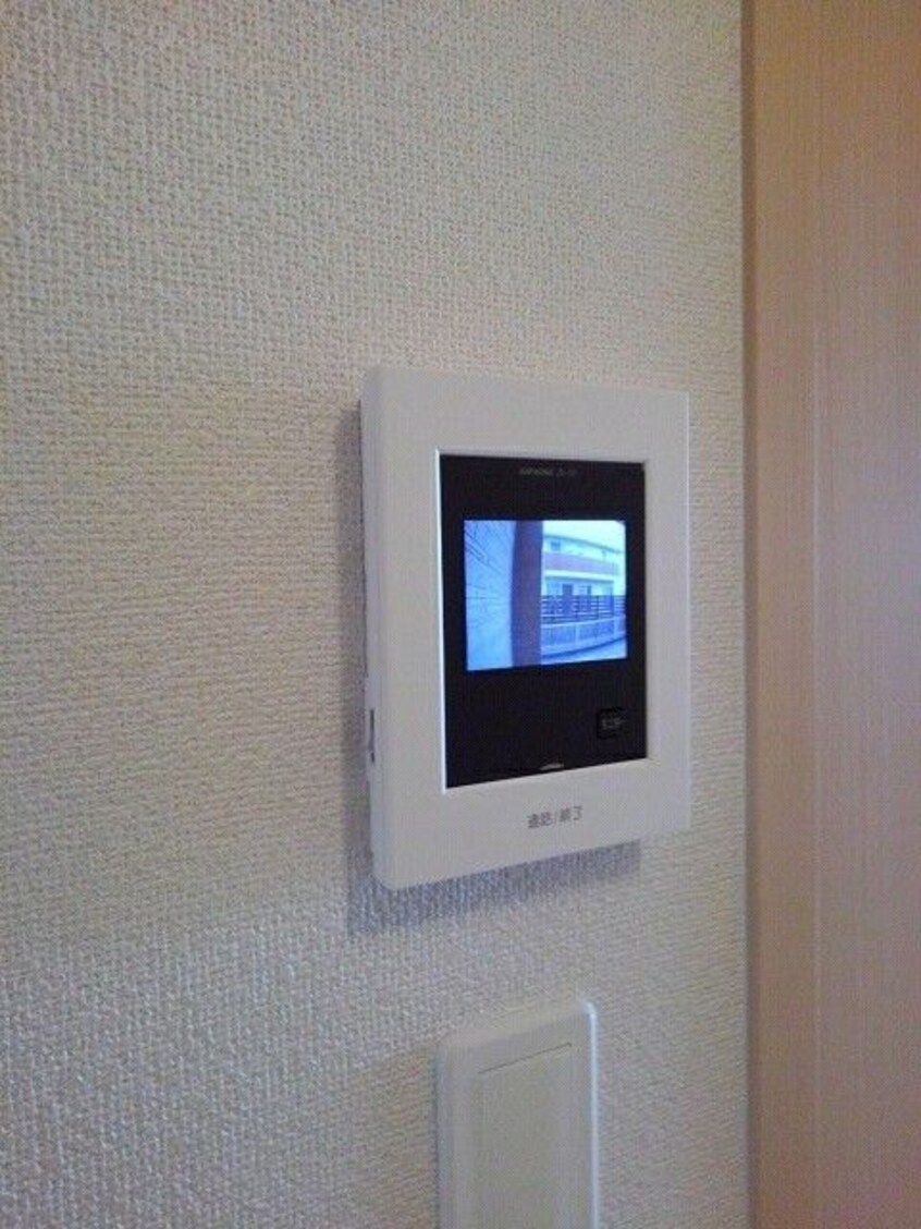  プルメリア