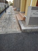  プルメリア