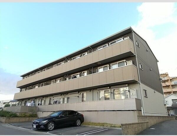  スプリングウッド