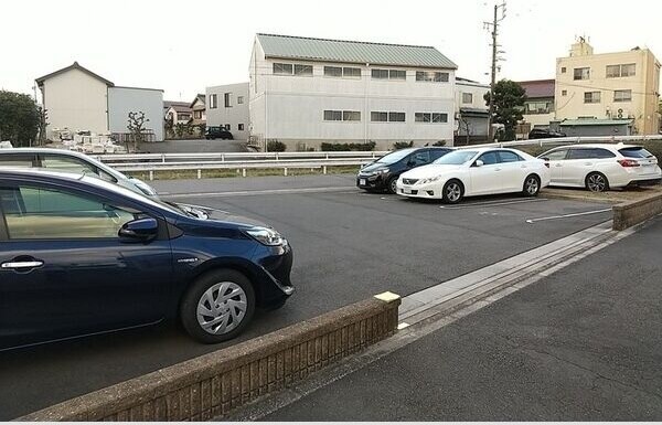  スプリングウッド