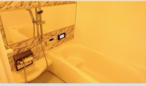  スプリングウッド