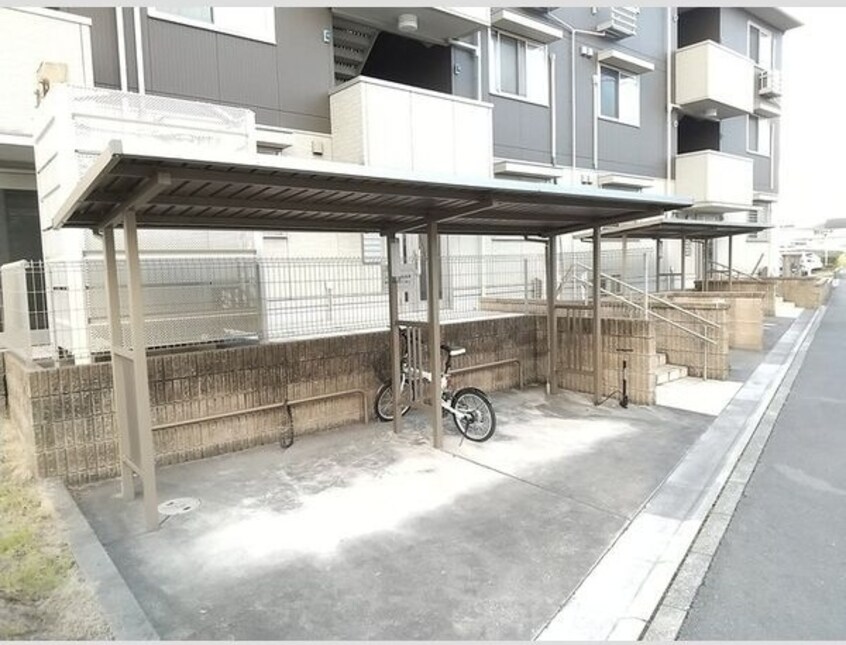  スプリングウッド