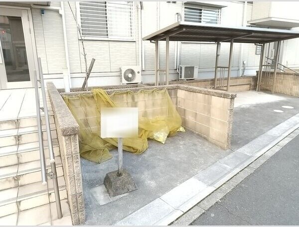  スプリングウッド